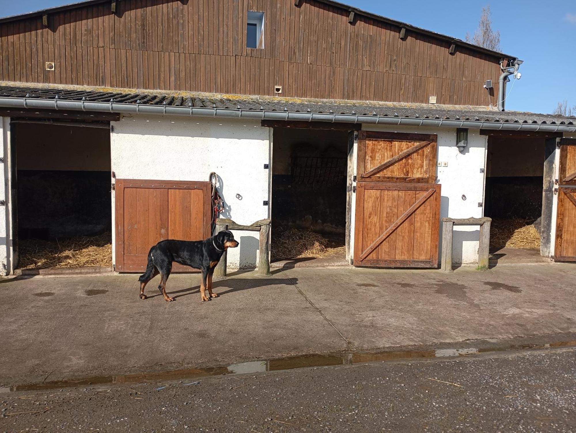 Le Gite Du Galou Sully  Exterior foto